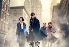 神奇动物在哪里(2016)+神奇动物：格林德沃之罪(2018)+神奇动物：邓布利多之谜(2022).1080p-夸克影视