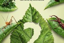 虫虫历险记/虫虫危机/虫虫特工队.A.Real.Bug's.Life.1-2季合集.1080p-夸克影视