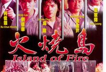 火烧岛.1991.1080p.粤语国语.中字【成龙/刘德华/洪金宝/梁家辉】-夸克影视
