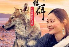 重返狼群.10周年特别纪念版.2021.全12集.1080p-夸克影视