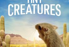 2020.美国自然纪录片《微观世界》.第一季.全8集-夸克影视