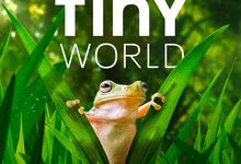 纪录片.小小世界.Tiny.World.1-2季合集.国语英语.中英双字-夸克影视