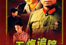 无悔追踪.1995.全20集【王志文/刘佩琦】-夸克影视