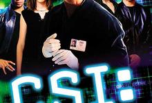 《犯罪现场调查》S1-S15 全十五季合集 1080P 英语中字-夸克影视