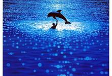 碧海蓝天.1988.1080p.国语法语.中字-夸克影视